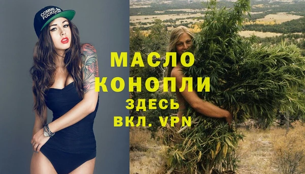МДПВ Богородск