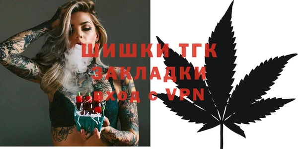 МДПВ Богородск