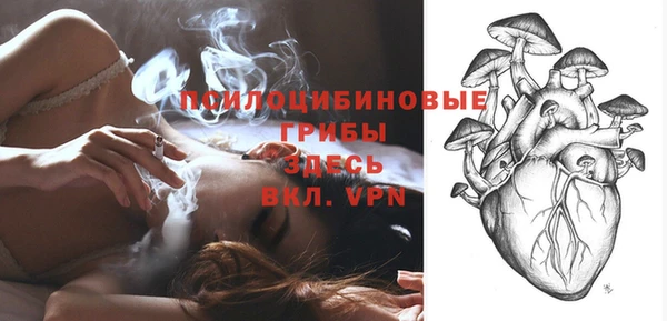 МДПВ Богородск
