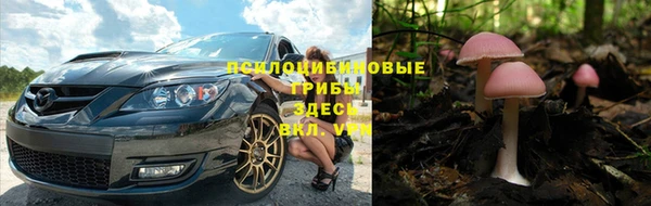 соль курить ск Богородицк