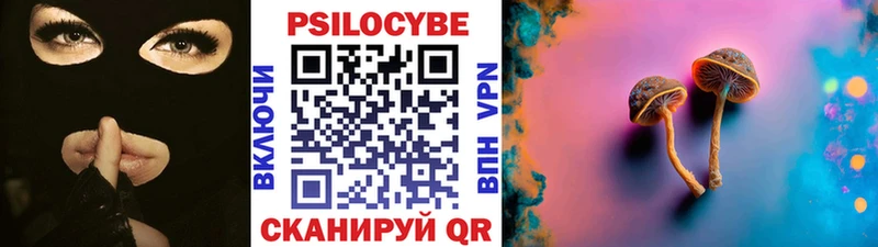 Галлюциногенные грибы Psilocybine cubensis  закладки  Пятигорск 